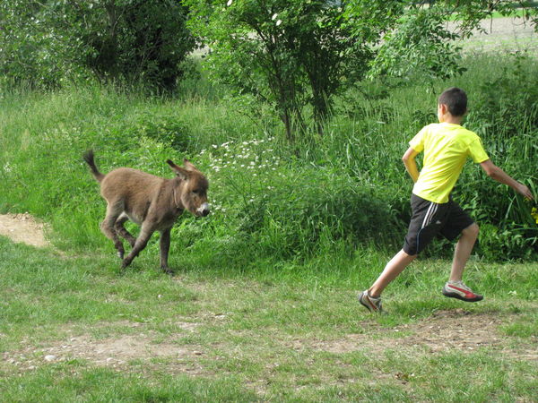 Loïc and Antigone are racing ! Loïc and Antigone are racing !