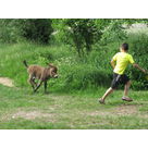 Lo&iuml;c and Antigone are racing !