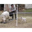 Born a few hours before and already close to us