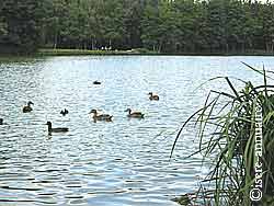 Eydoches nature and leisure center in Faramans (5 km)