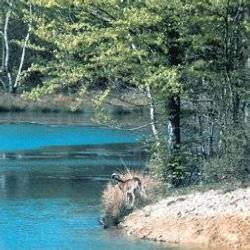 Chambaran nature park in Roybon (20km)