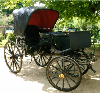 Horse-drawn carriages in the Bi&egrave;vre region (13 km)